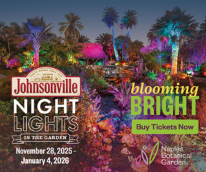 Johnsonville Night Lights