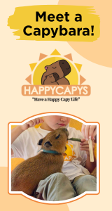 HappyCapys