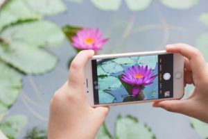 iPhone photography.jpg