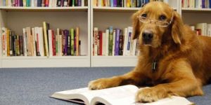 Reading - Dog with book.jpg