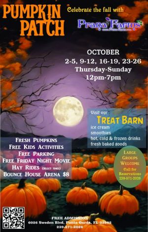 treat.jpg
