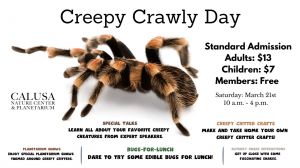 CreepyCrawly.jpg