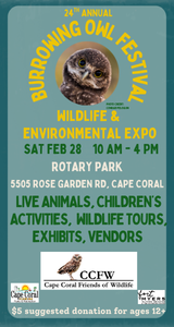 burrowing owl fest.jpg