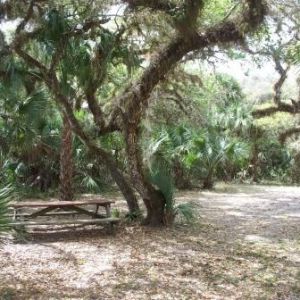 Oaks Park