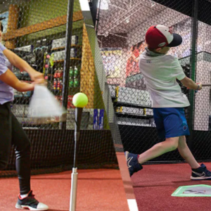 HitTrax Batting Cages at Dick's Sporting Goods