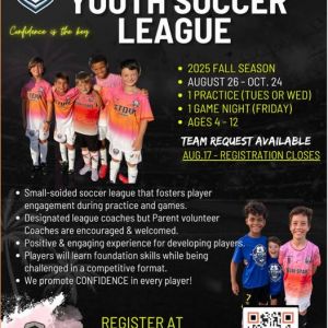 Stovi Stars Estero Youth Soccer League
