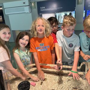 Bailey-Matthews National Shell Museum & Aquarium