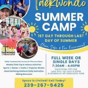 Star Taekwondo and Wellness Center Summer Camp