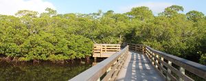Oyster Creek Environmental Park